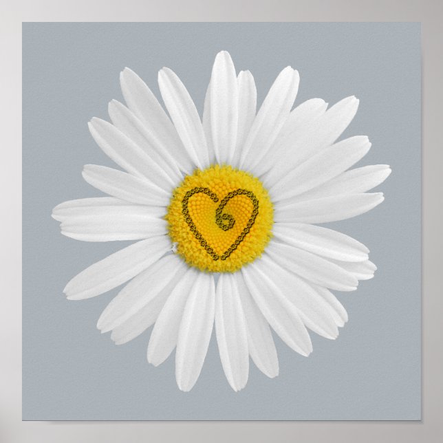 Daisy Blume Liebe Art Customizing Background Poster (Vorne)