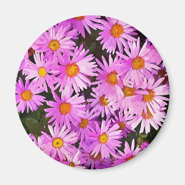 DAISY BLUME MAGNET (Vorne)