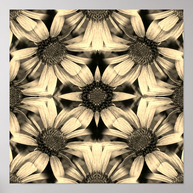 Daisy Blume Mirror Sepia Abstrakt Poster (Vorne)