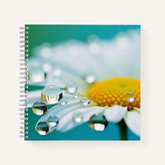 Daisy Blume Petal Natur Serene Calm Notizbuch