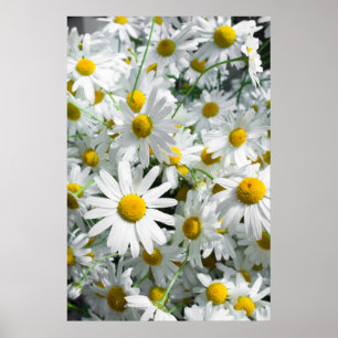 Daisy Blume Poster