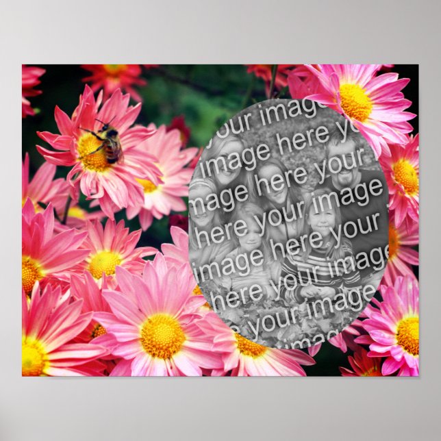 Daisy Blume und Hummelrahmen ergänzen Ihr Foto Poster (Vorne)