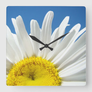 Daisy Blume Wall Clock - Dekorationssender Quadratische Wanduhr