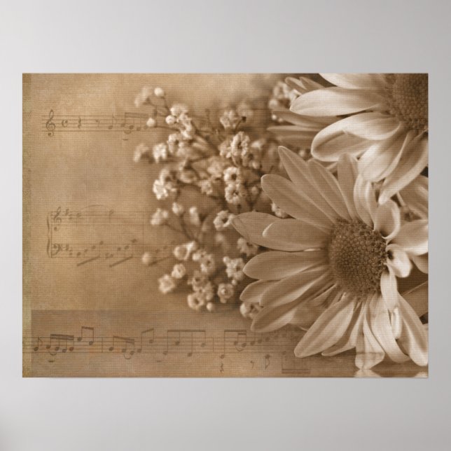 Daisy Bouquet über Musik Poster (Vorne)