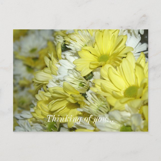 Daisy Bouquets denken Sie an Ihre Postkarte (Vorderseite)