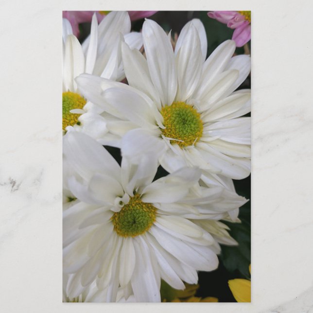 Daisy Briefpapier (Vorderseite)