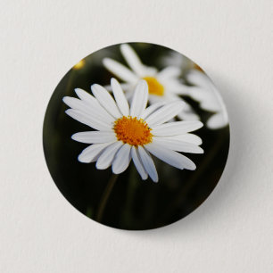 Daisy Button