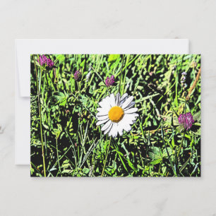 Daisy Card