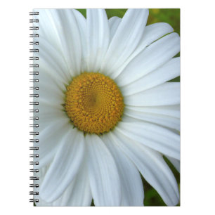 Daisy Carnet Classic Daisy Journaux Cadeaux Fleurs
