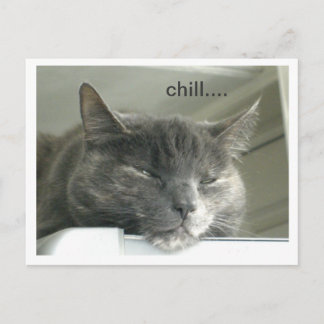 Daisy Chilling Postkarte