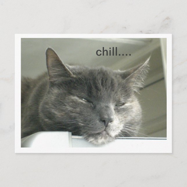 Daisy Chilling Postkarte (Vorderseite)