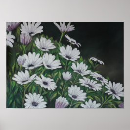 Daisy Chrysanthemum Art Print Poster