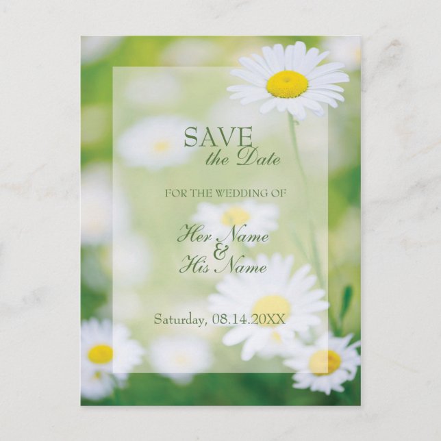 Daisy Daisies Blume Floral Summer Save the Date Ankündigungspostkarte (Vorderseite)