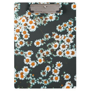 Daisy Daisies Floral Klemmbrett