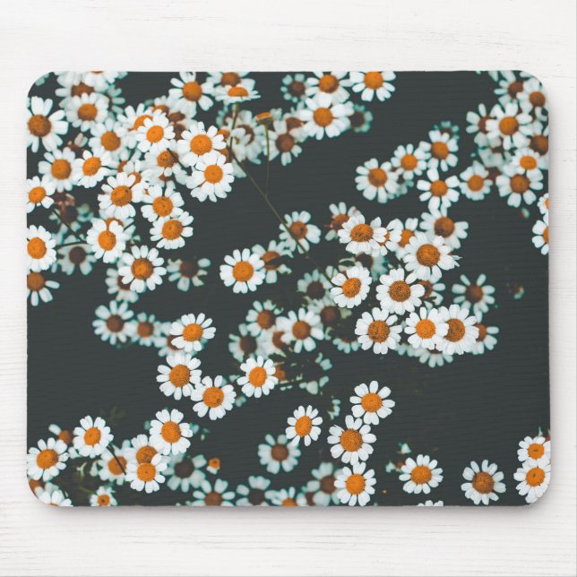 Daisy Daisies Floral Mousepad (Vorne)