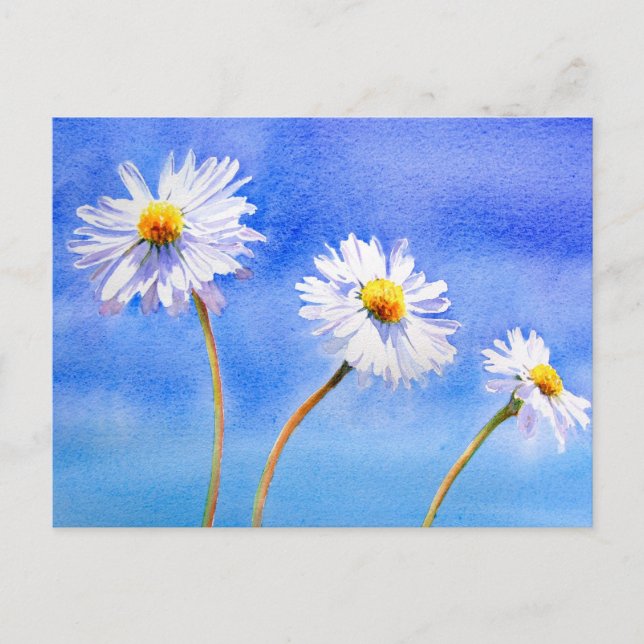 Daisy Daisy Postkarte (Vorderseite)