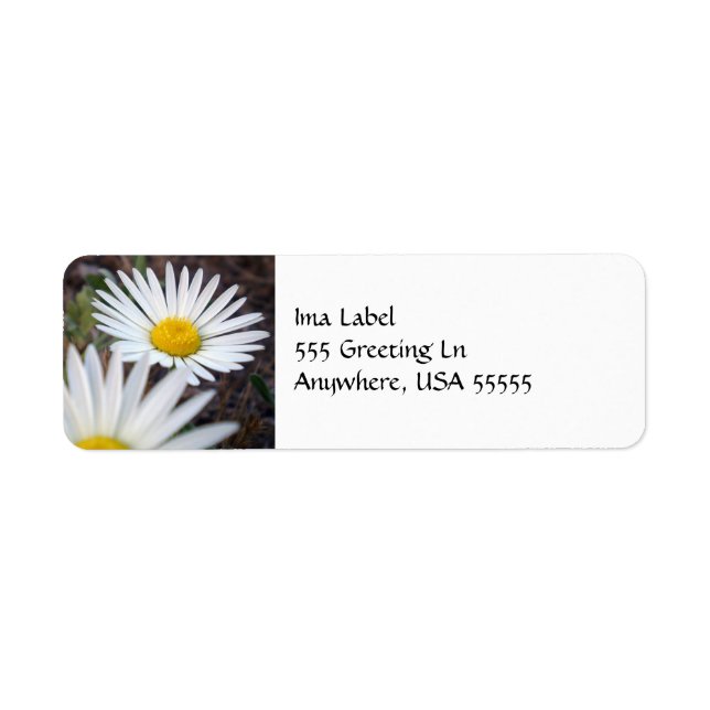 Daisy Day Label (Vorne)