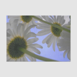 Daisy Day Seidenpapier