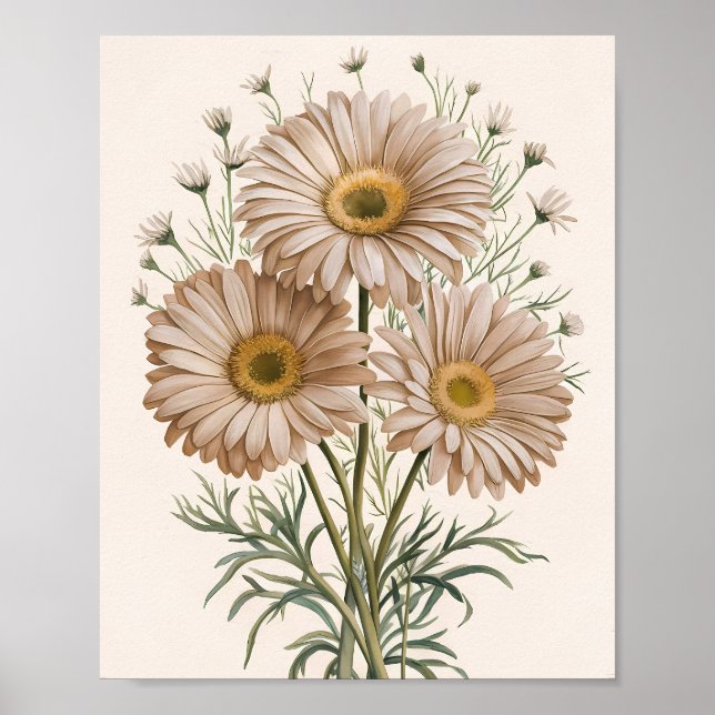 Daisy Daydream Poster (Vorne)