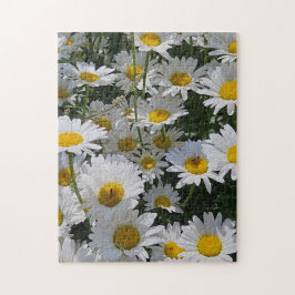 Daisy Daydream Puzzle, 11" x 14", 252 pieces