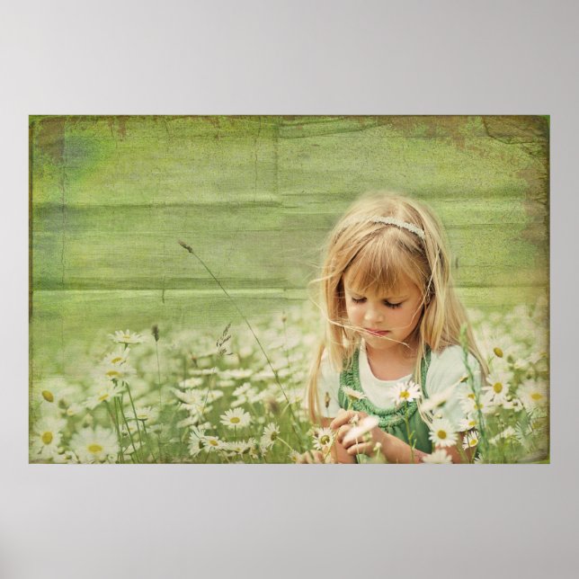 Daisy Daydreams Poster (Vorne)