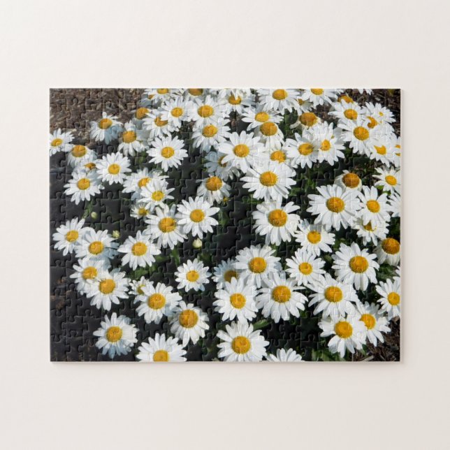 Daisy Days Puzzle (Horizontal)