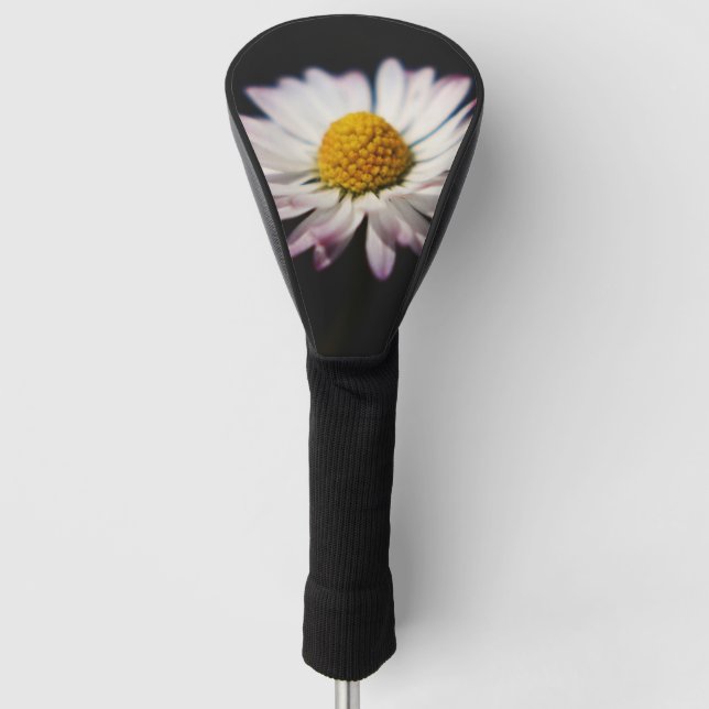 Daisy dccna golf headcover (Vorderseite)