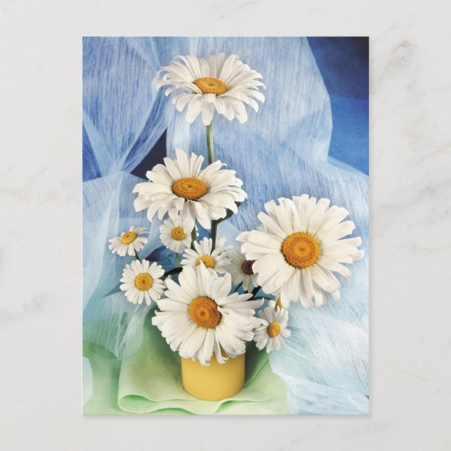 Daisy Decor Postkarte (Vorderseite)
