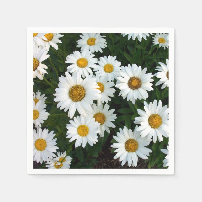 Daisy Delight Napkins (Paper) Serviette (Vorderseite)