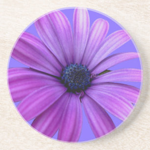 Daisy Dessous de verre Fleur sauvage violet Daisy 