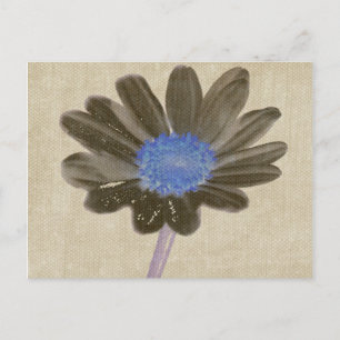 Daisy Digital Art Postcard Postkarte