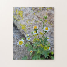 Daisy Dots of Delight Puzzle, 11" x 14", 252 pcs