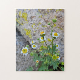 Daisy Dots of Delight Puzzle, 28 cm x 35,5 cm, 252
