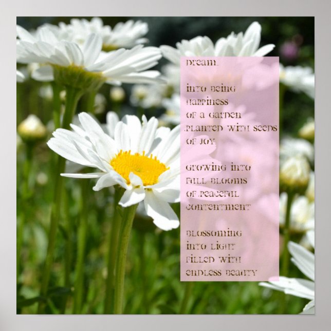 Daisy Dream Poem Poster (Vorne)