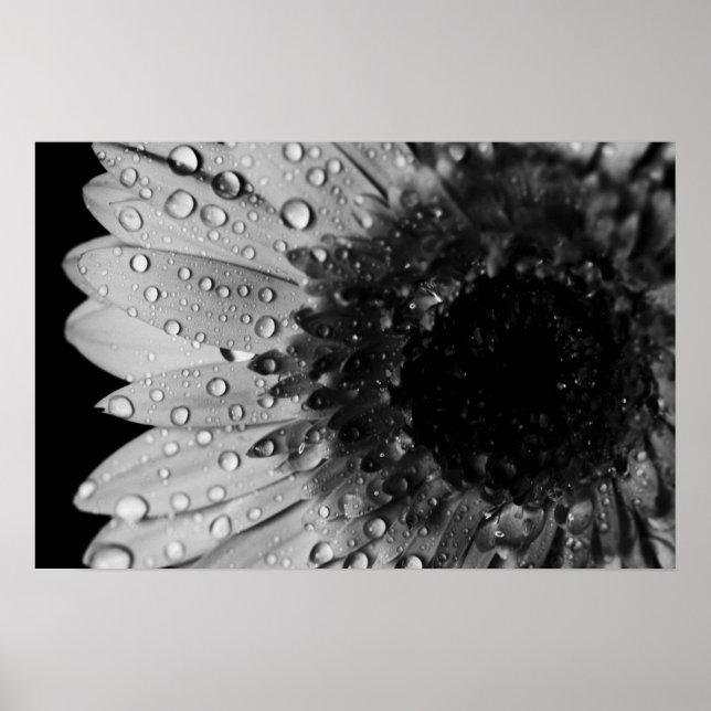 Daisy Droplets (schwarz und weiß) Poster (Vorne)