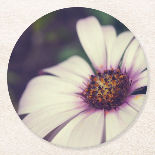 Daisy drucken. runder pappuntersetzer (Vorderseite)