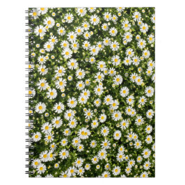 Daisy Field Spiral Notebook Notizblock