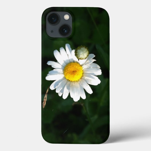 Daisy Foto iPhone 6/6, Tough Xtreme Case-Mate iPhone Hülle (Rückseite)