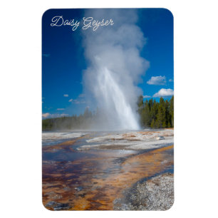 Daisy Geyser Erupting Yellowstone Nationalpark Magnet