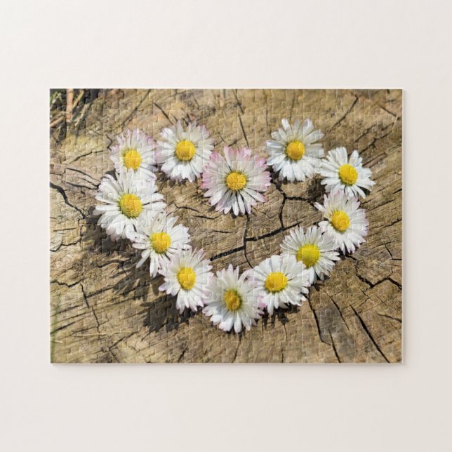 Daisy Heart - Liebe (Horizontal)