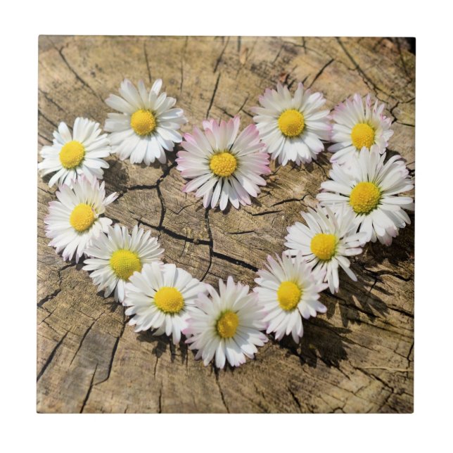 Daisy Heart - Liebe - Text hinzufügen / Name Fliese (Vorderseite)