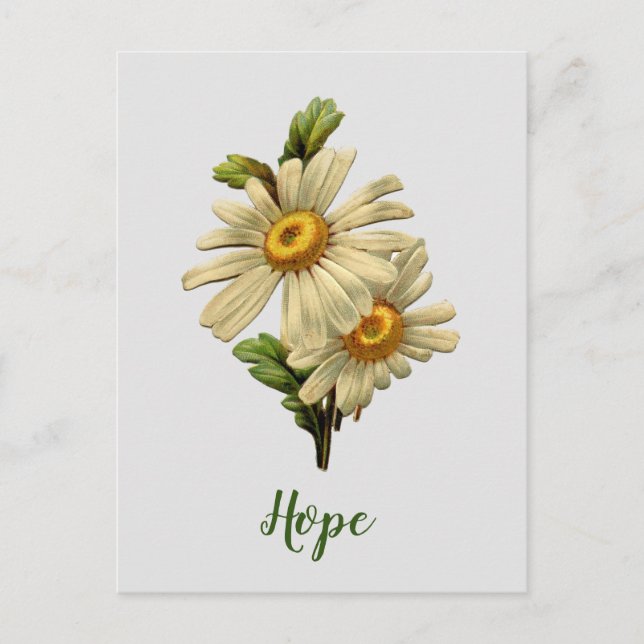 Daisy Hope Inspirational Postkarte (Vorderseite)