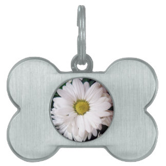 *Daisy* Hundehalsband-Umbau Tiermarke