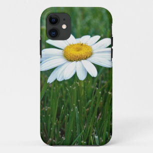 Daisy im Gras Case-Mate iPhone Hülle