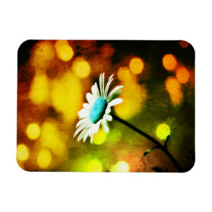Daisy in Gold und Orange Lights Magnet