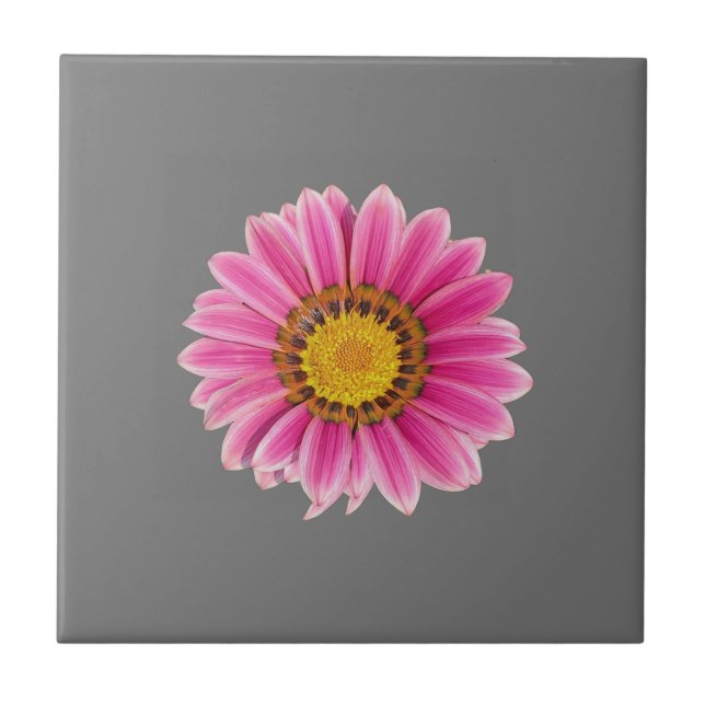 Daisy in Rosa Fliese (Vorderseite)