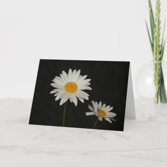 Daisy Karte (Vorderseite)