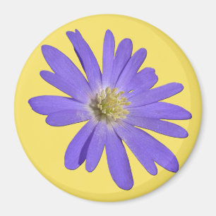 Daisy Kühlschrankmagnet Blue Blume Daisy Geschenke