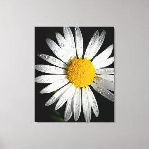 Daisy Leinwanddruck