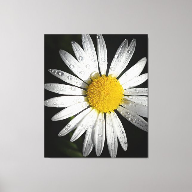 Daisy Leinwanddruck (Vorderseite)